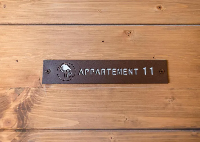 Apartment Le Grand Bouquetin - 4 Pieces Pour 8 Personnes Mae-9924